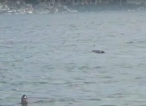 Corpo apareceu boiando na Praia do Meio