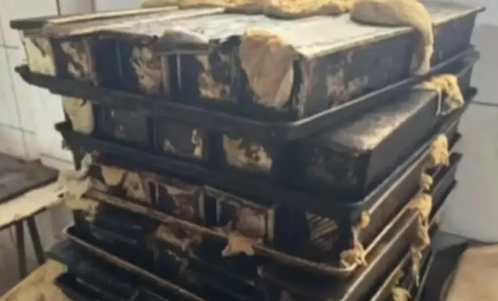 Entre os materiais recolhidos, os fiscais levaram 4 mil pães