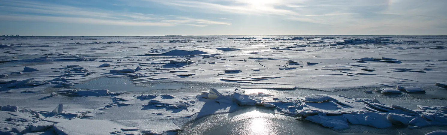 Fenômeno tem despertado grande preocupação entre cientistas