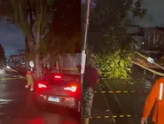 Média histórica de chuva para todo o mês de novembro em Salvador é de aproximadamente 108 mm