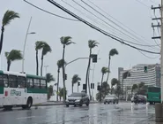 Censo foi divulgado nesta quinta