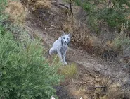 O ex-presidente Jair Bolsonaro