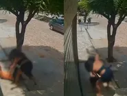 Corpos foram encontrados a 500 metros de distância da caminhonete