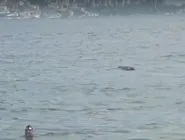 Polícia segue investigando outros envolvidos em homicídios ligados ao CV