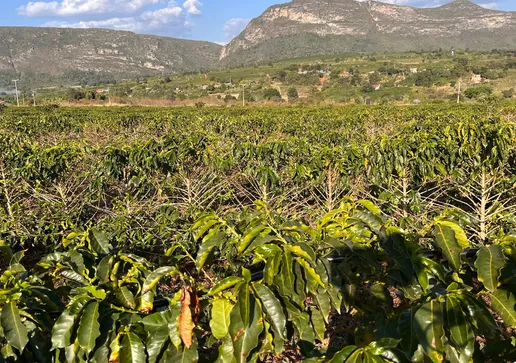 Erikson Silva (MDB) anunciou cancelamento do Pombal Folia e de todo calendário festivo do município