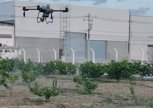 Previsão aponta até 100 mm de chuva em 24 horas e rajadas de vento intensas