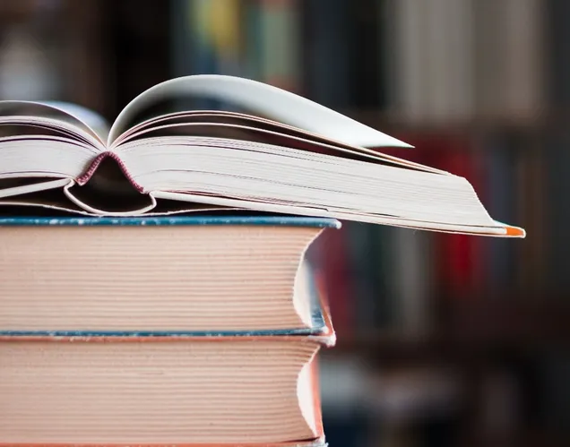 Imagem ilustrativa da imagem Biblioteca reabre após poesia no Carnaval