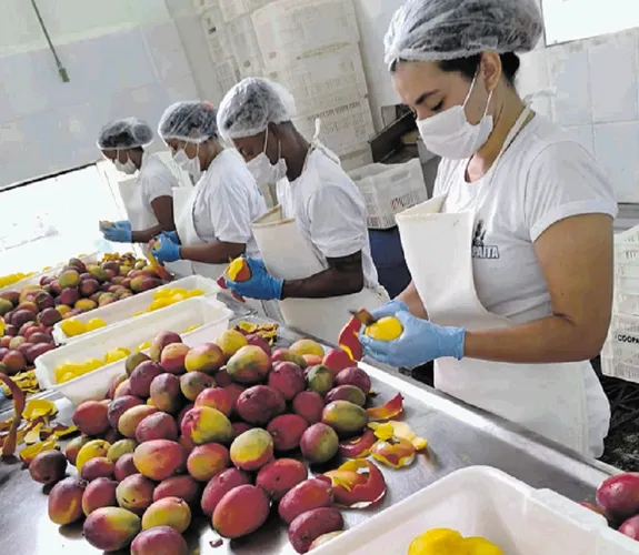 Produção de mangas