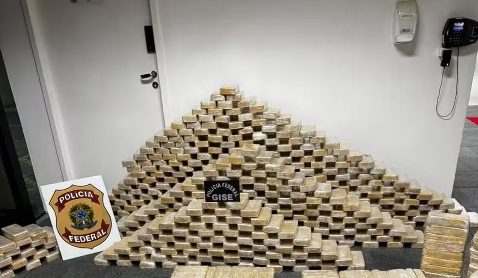 Imagem ilustrativa da imagem Bunker com cocaína é encontrado em empresa ligada ao tráfico internacional