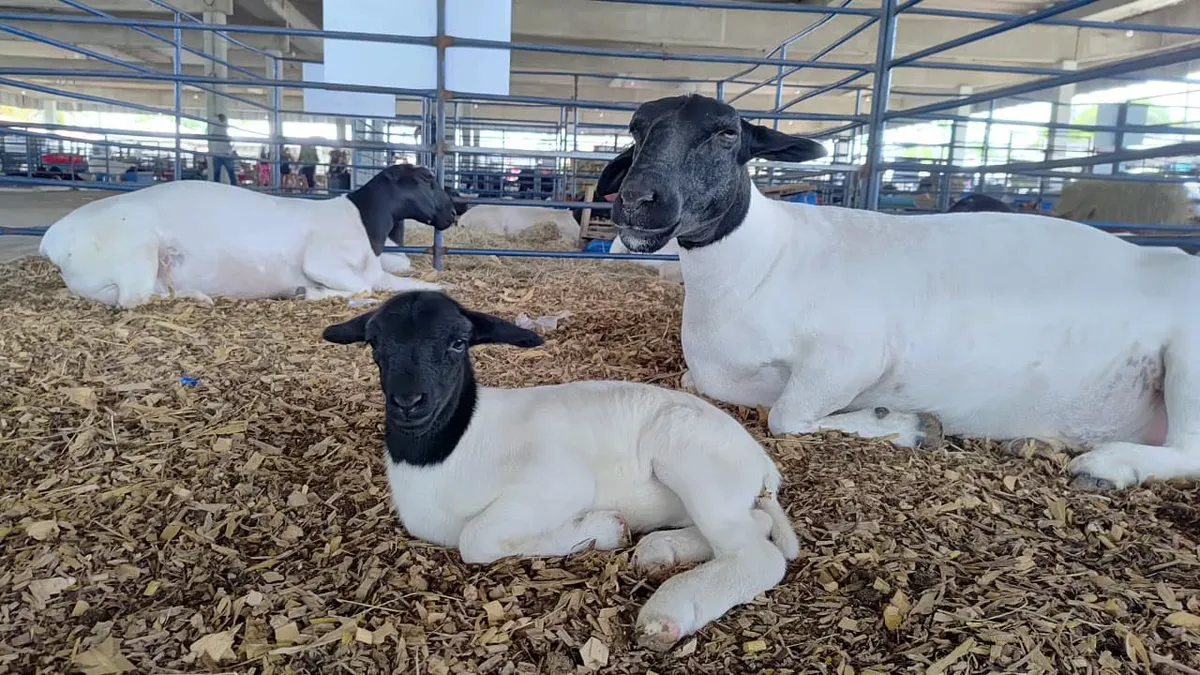 Fernanda e a sua mamãe na Fenagro