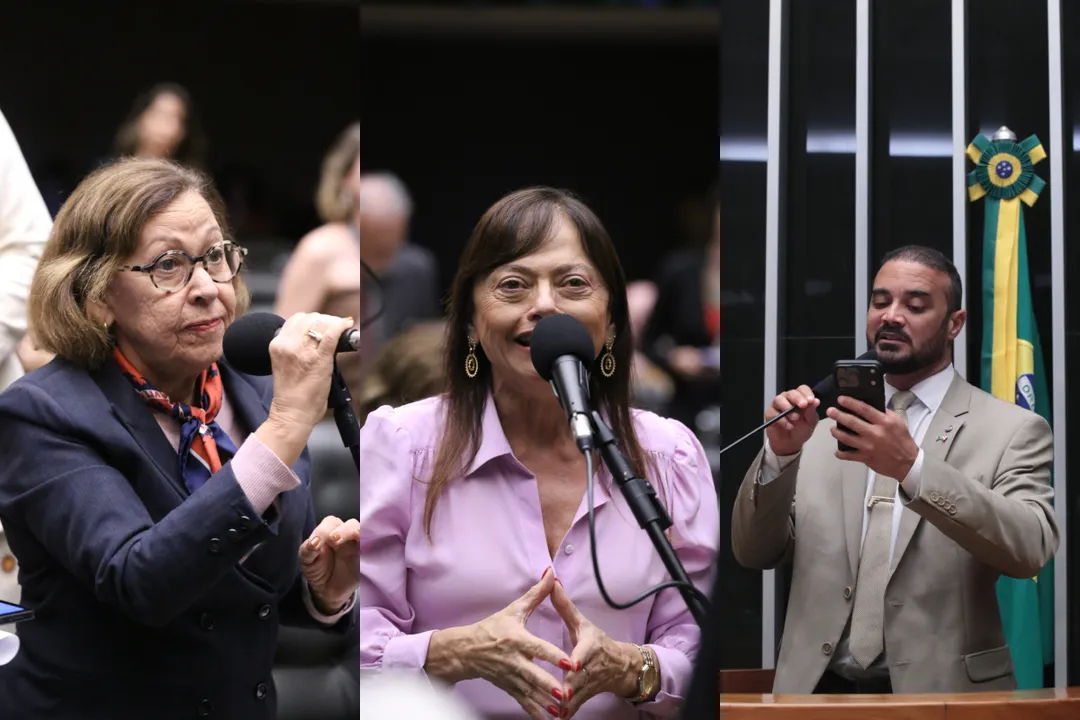 Deputados federais baianos tiveram postura diferente na votação do PL da Dosimetria