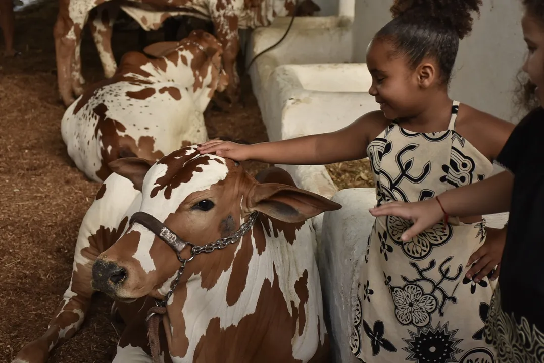 Fenagro 2025 libera acesso grátis nesta quarta
