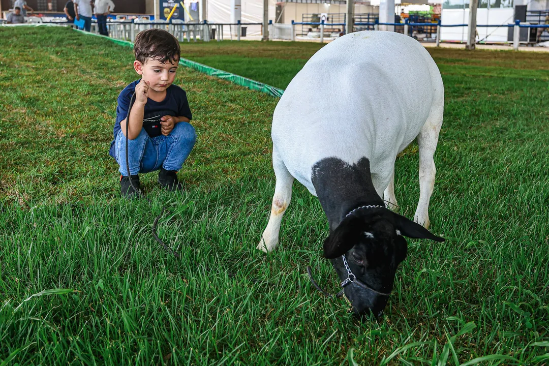 Fenagro vira espaço de descoberta