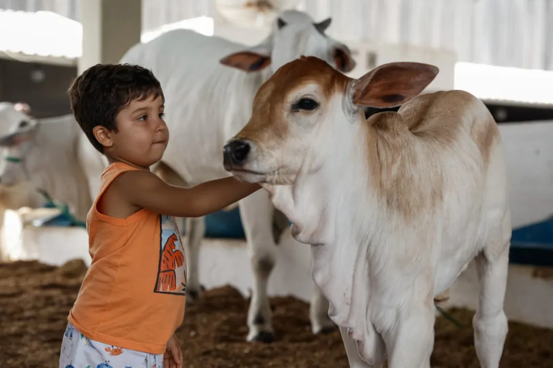 Fenagro termina hoje com shows e atrações para todas as idades