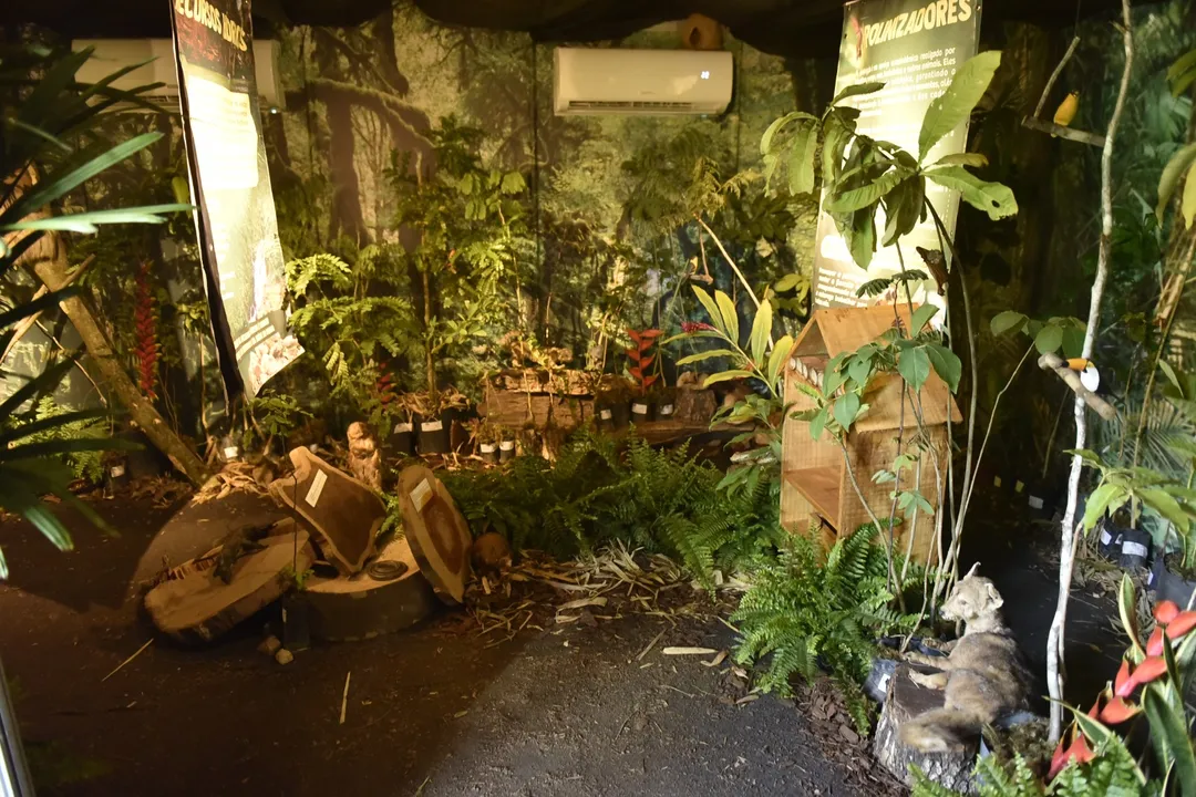 Imersão foi instalada no Pavilhão do Governo