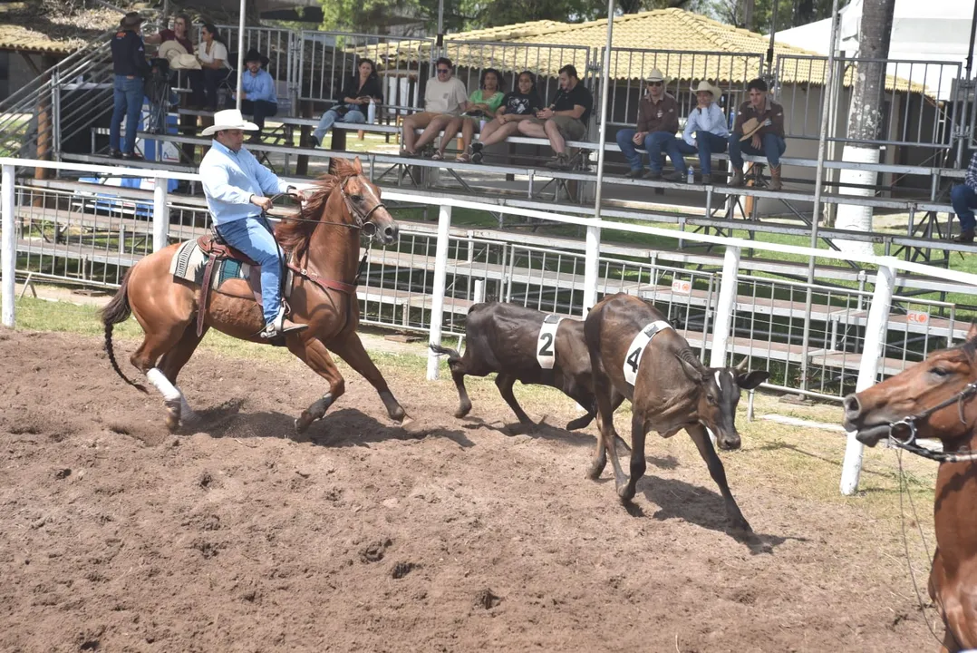 Prova de Ranch Sorting na Fenagro 2025