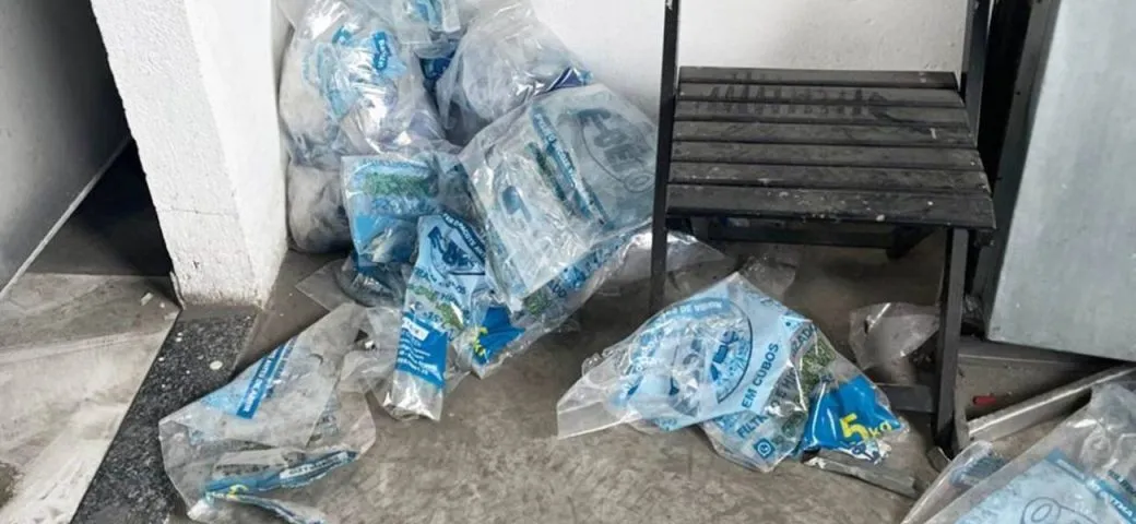 Imagem ilustrativa da imagem Fábrica de gelo na Bahia é interditada por produto sem procedência