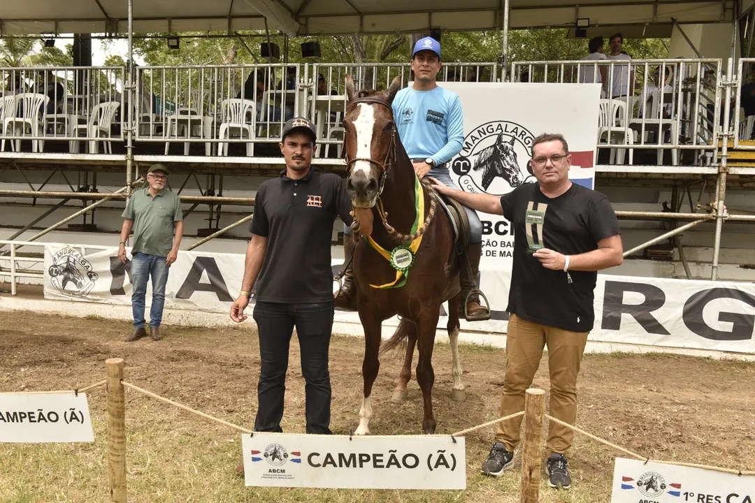 Dentro da pista: como jurados escolhem os melhores mangalargas da Fenagro
