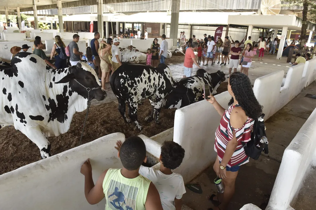 Animais passam por rotina de adaptação