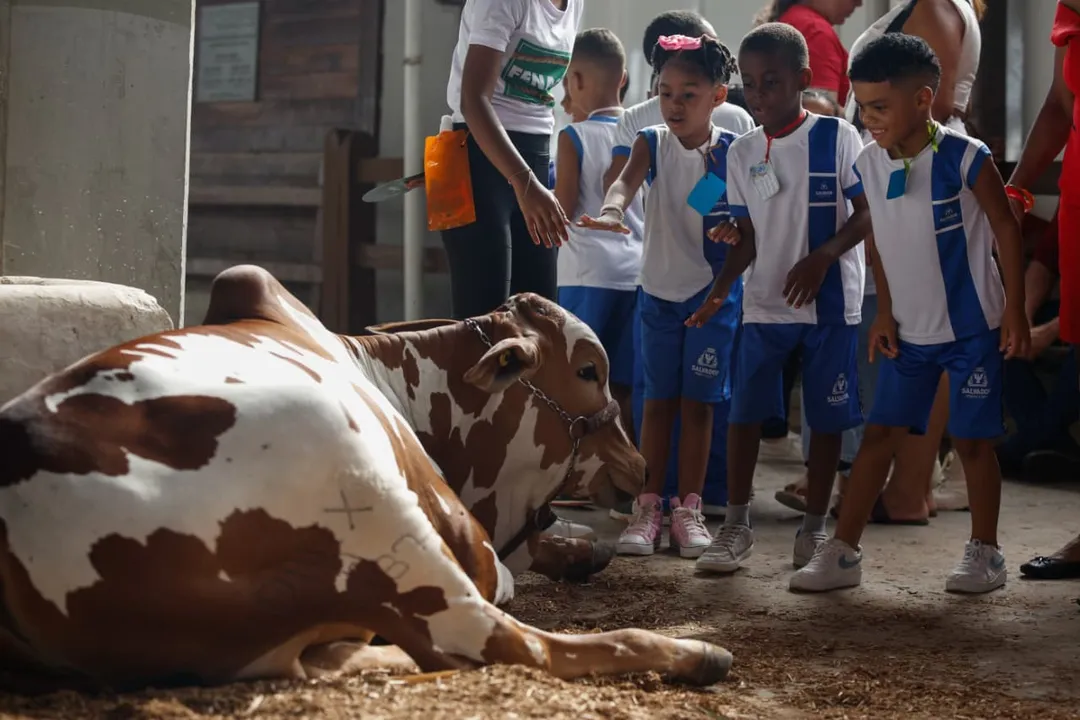 Contato com animais transforma visita de famílias e ensina crianças sobre natureza