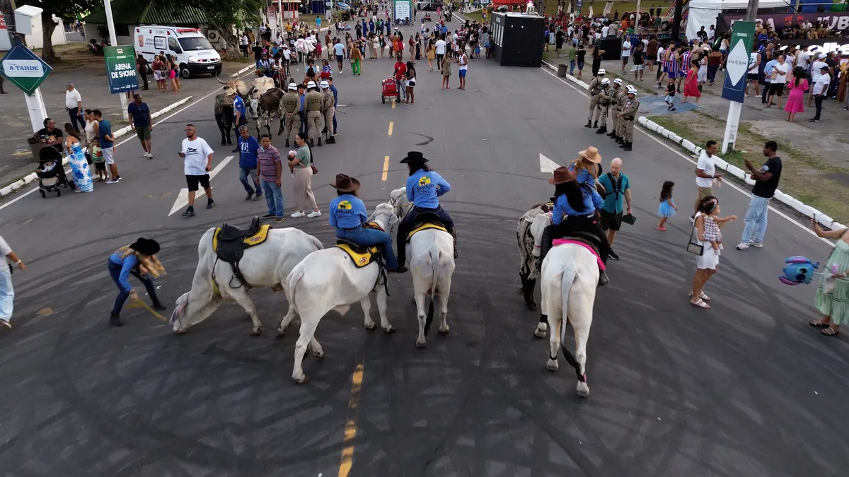34ª edição da FENAGRO