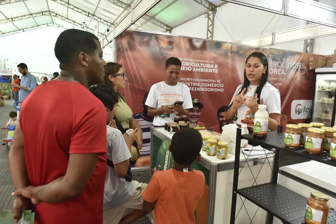 Queijos de cabra artesanais elevam a experiência gastronômica