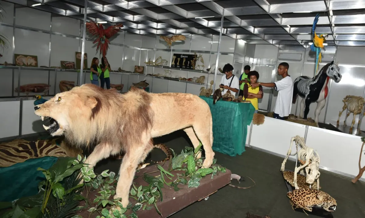 O Museu de Anatomia Veterinária Itinerante