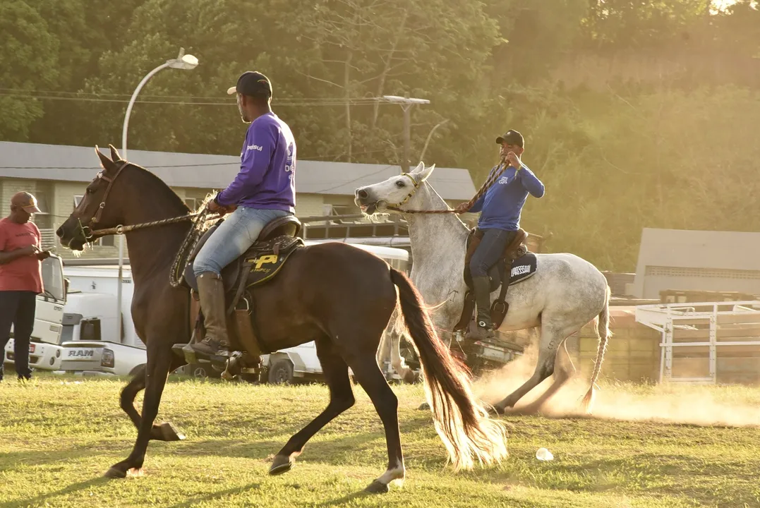 Genética de precisão e sanidade equina: temas mobilizam produtores na Fenagro