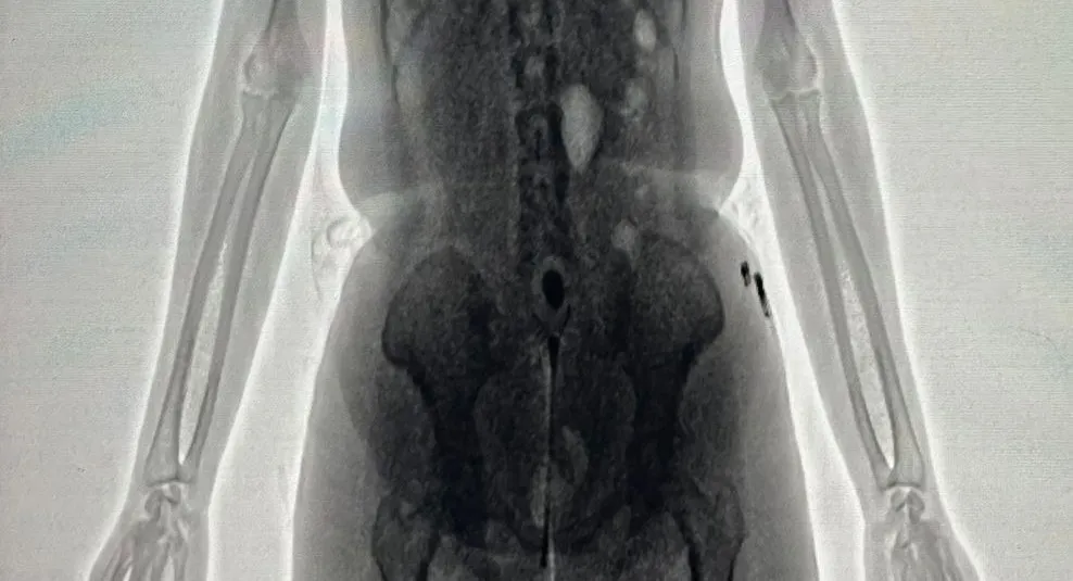 Ocorrência foi registrada na manhã desta terça-feira, 6