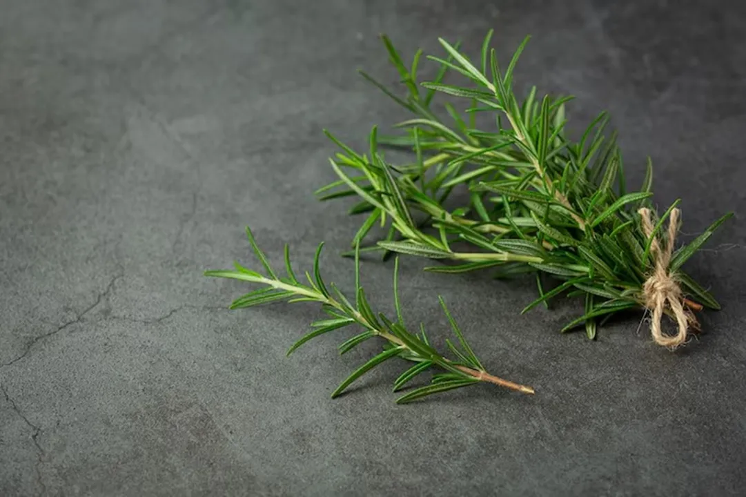 Conhecido pelo aroma fresco e marcante, o alecrim libera óleos essenciais quando aquecido