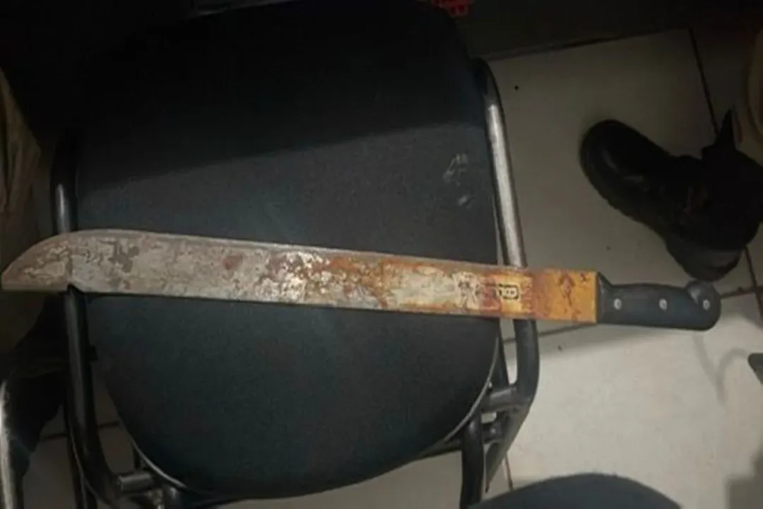 Suspeito de 27 anos foi detido após invadir a casa da mãe