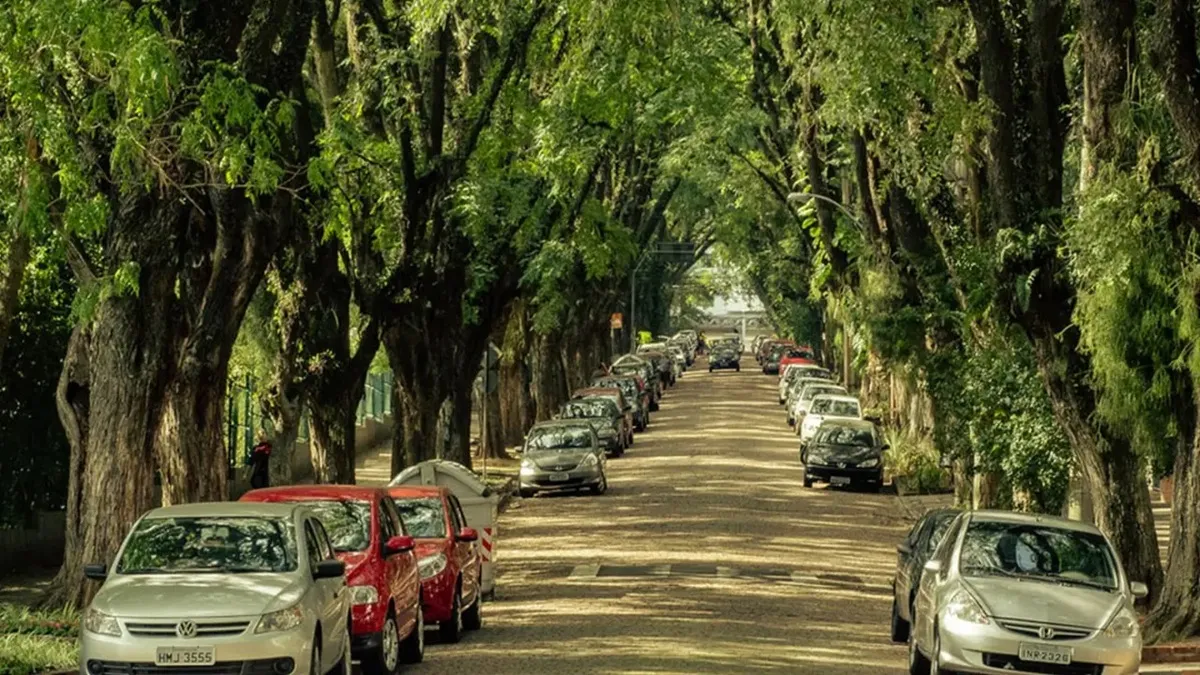 Paisagem singular da rua não apenas embeleza o local, como também interfere diretamente no microclima