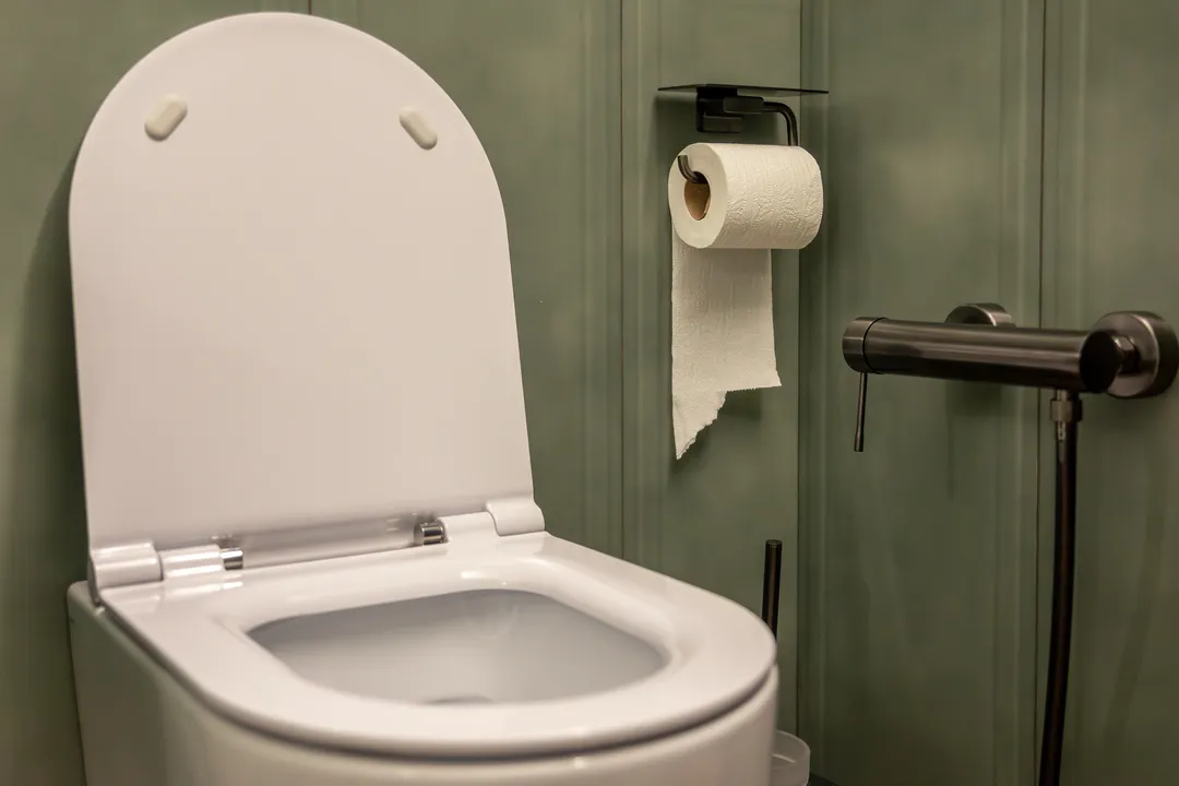 Mais de 40 milhões de brasileiros utilizam fossas sépticas