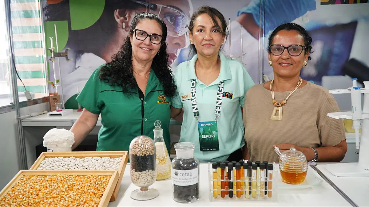 O segredo do mel campeão? Produtores revelam tradição e tecnologia