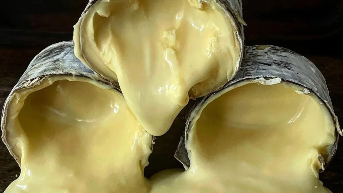 Queijo Morro Azul entra em lista dos melhores queijos do mundo