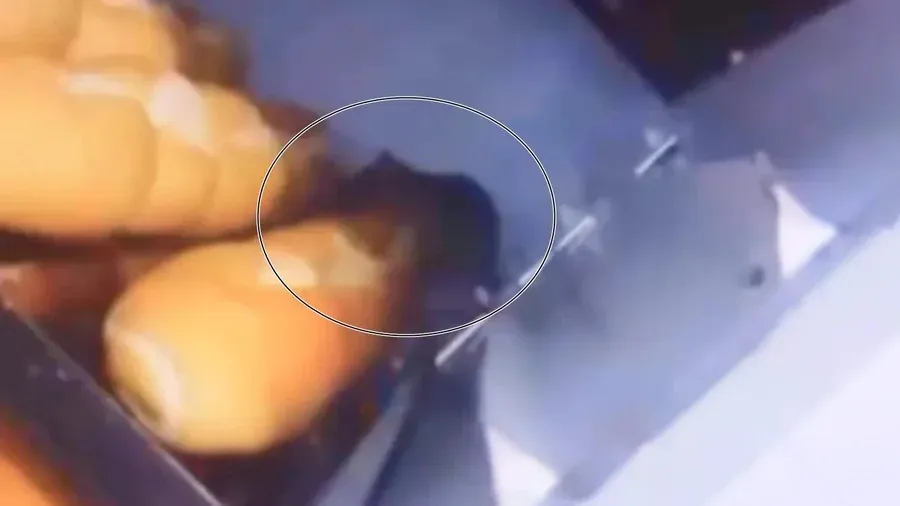 O ambiente foi classificado como contaminado, com risco à saúde pública