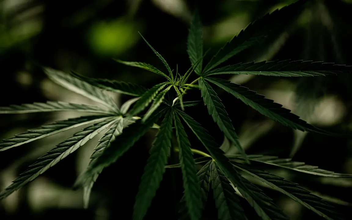 A droga pode causar problemas graves