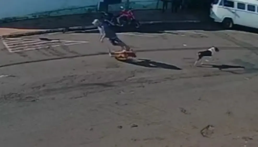 O quadro de saúde se agravou ao longo dos meses