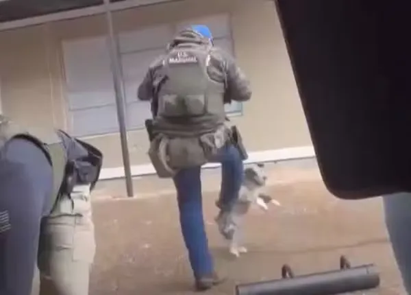 Imagem ilustrativa da imagem Agressão? Agente federal chuta cachorro durante abordagem policial