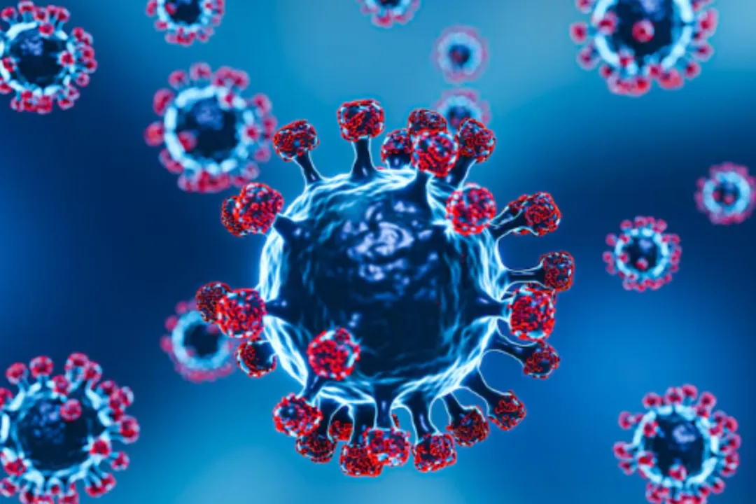 risco de Nipah chegar ao Brasil existe, mas chance de surto é baixa