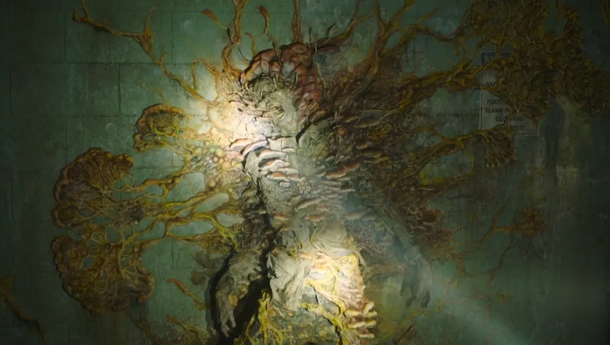 Fungo infecta insetos e artrópodes e controla seu sistema nervoso