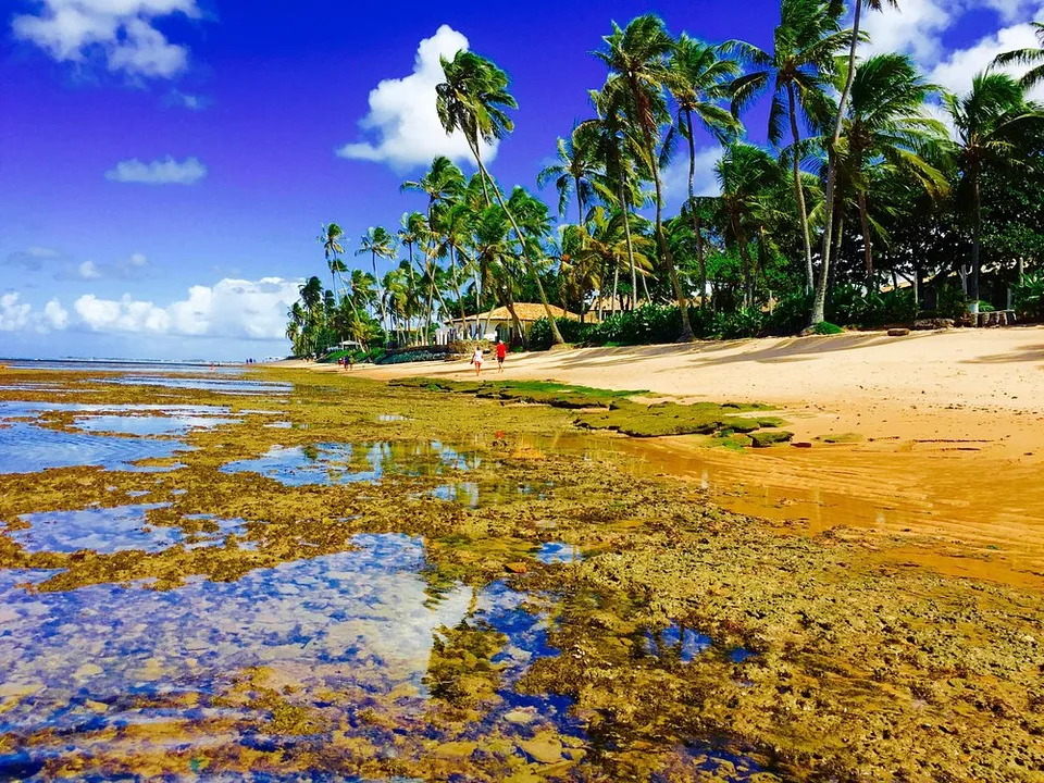 Praia do Forte, Mata de São João, Bahia