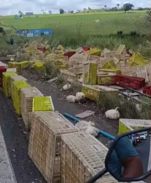 Imagem ilustrativa da imagem Caminhoneiro morre após carreta carregada de frangos tombar na BR-101