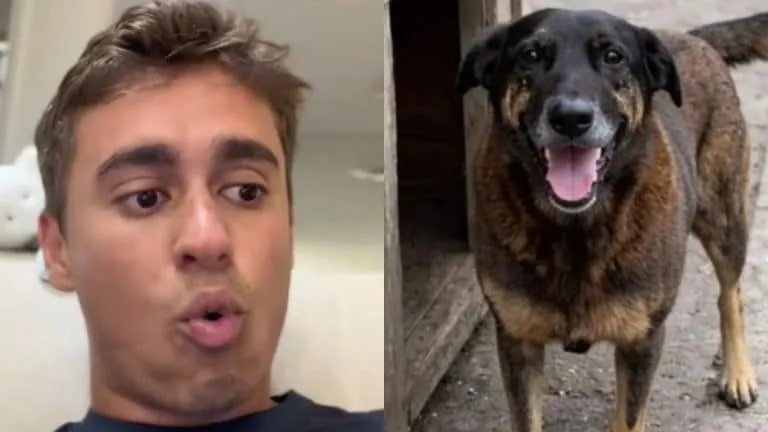 O deputado federal Nikolas Ferreira (PL-MG) comentou o caso do Cão Orelha