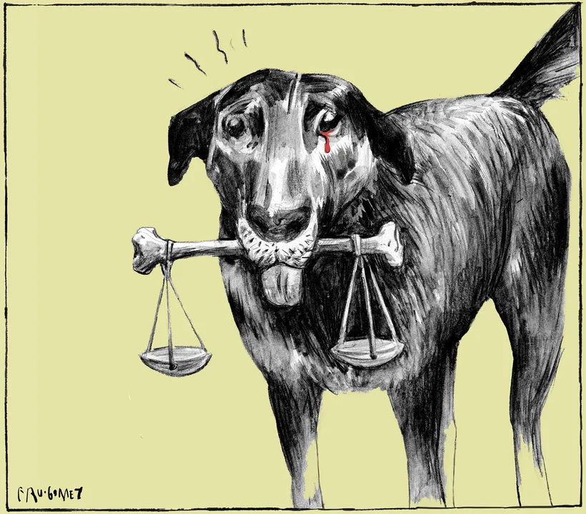 Imagem ilustrativa da imagem Charge do dia 27/01/2026