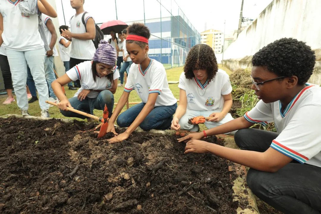 Educação ambiental nas escolas estaduais da Bahia