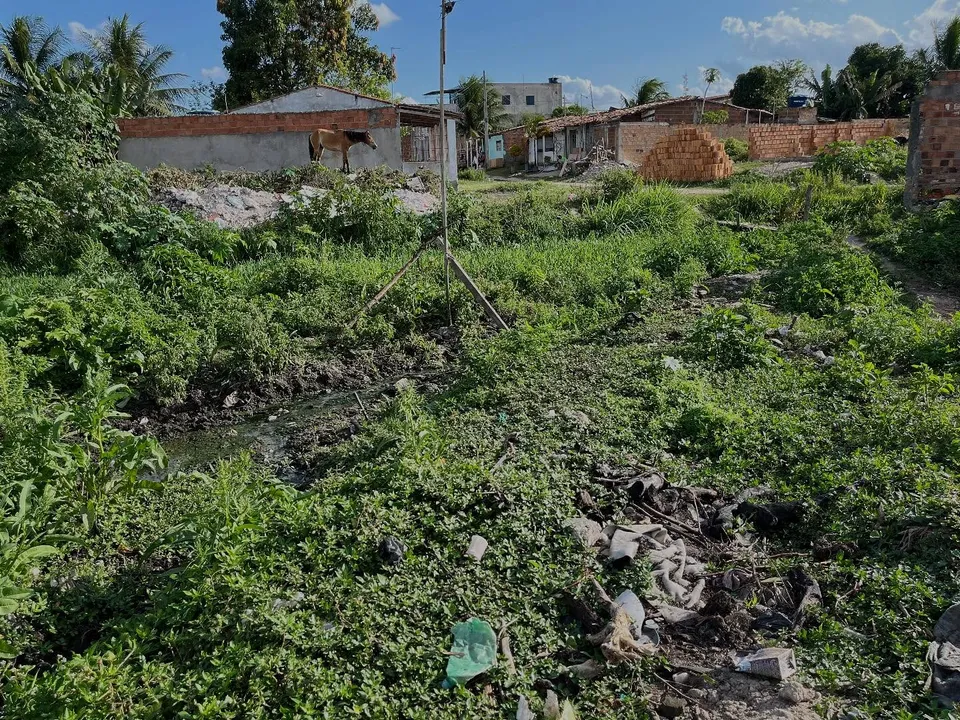 Descarte irregular de resíduos é um dos principais problemas enfrentados pelo município