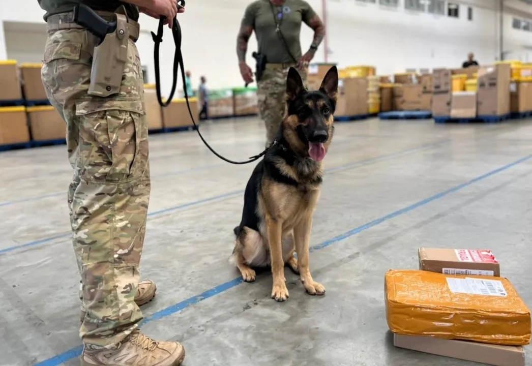 Homem é preso ao receber drogas e munições pelos Correios