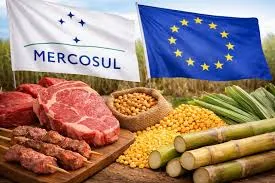 Brasil o maior exportador de alimentos industrializados do mundo