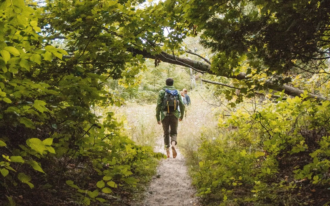 O rapaz ficou perdido por algumas horas